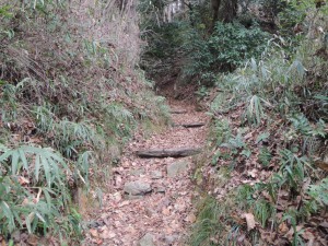 山道