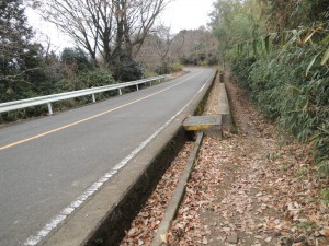 道路脇の道