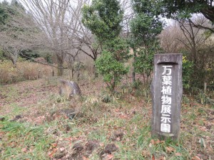 万葉植物園