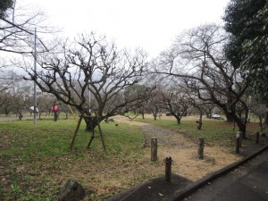 梅園