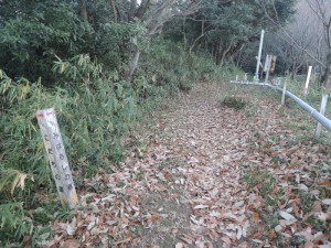 山道