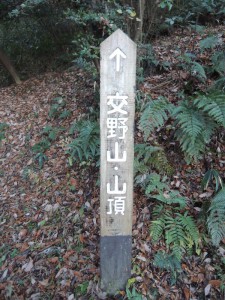 道標