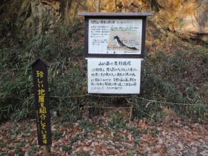 説明