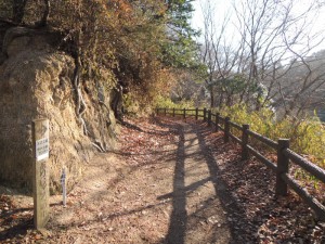 山道
