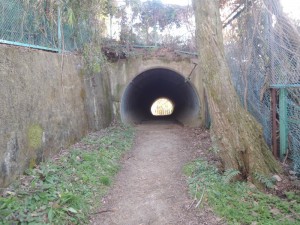 ゴルフ場のトンネル