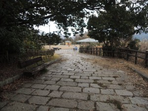 公園