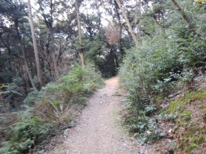 下山道
