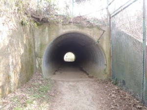 ゴルフ場のトンネル