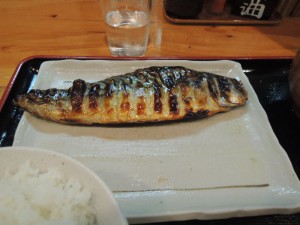 鯖