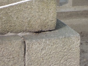 蜜蜂の巣