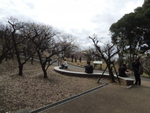 枚岡梅園