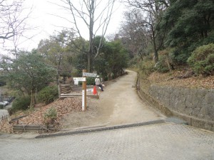 額田園地への道