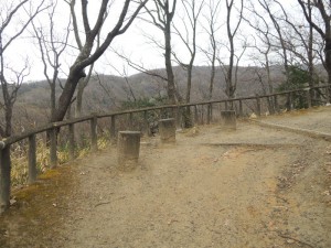 山道
