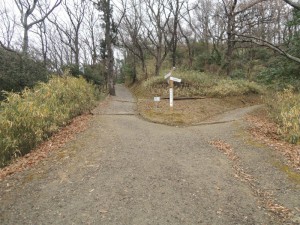 山道