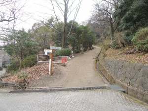 登り口