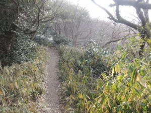山道
