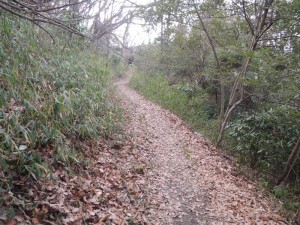 山道