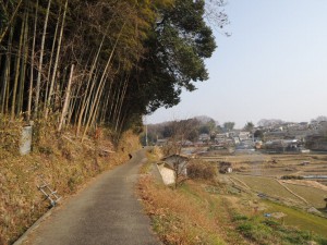 村の道
