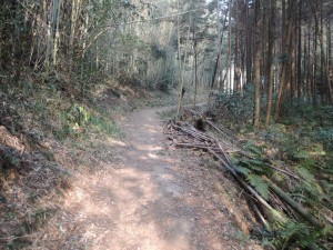 山道