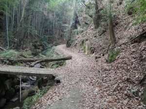 山道
