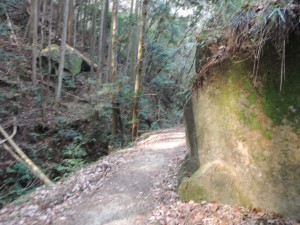 山道