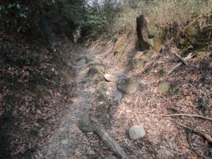 山道