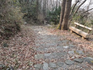 山道