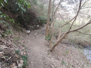 山道
