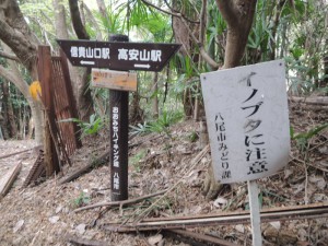登山口