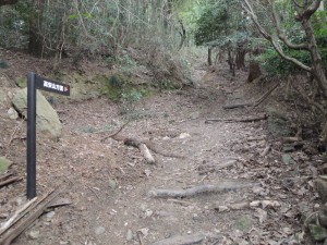 山道