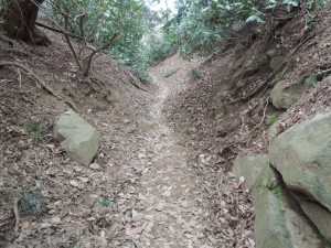 山道
