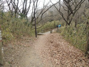尾根道