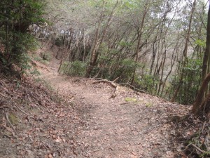 山道