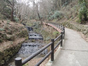 川沿いの道