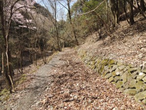 山道