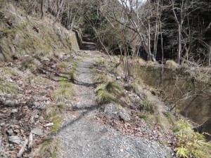 山道