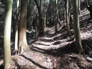 山道