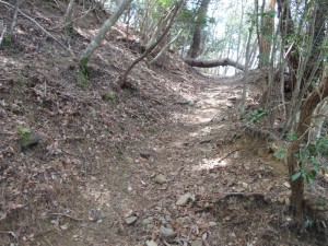 急な登り道