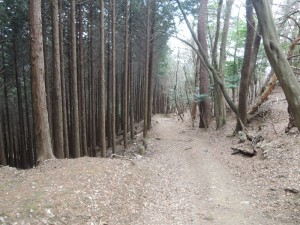 山道