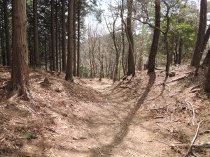 山道