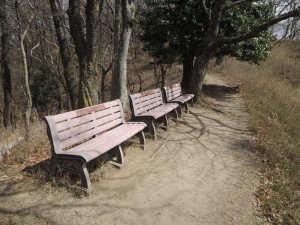 ベンチ