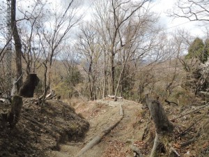山道