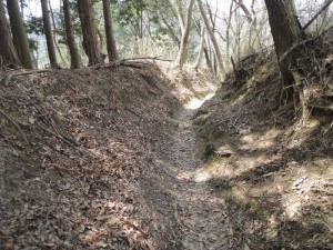 山道