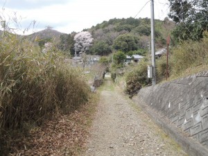 道路