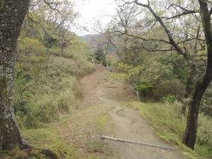 山道