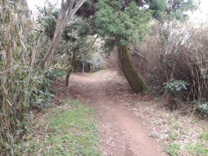 山道