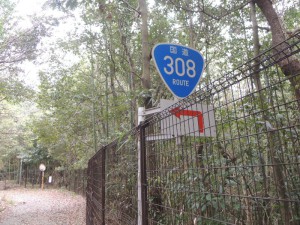 国道308号