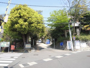 登山道入口