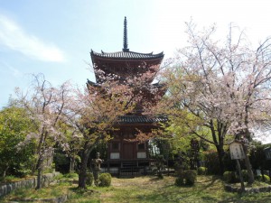 塔と桜