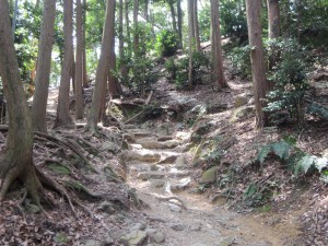山道